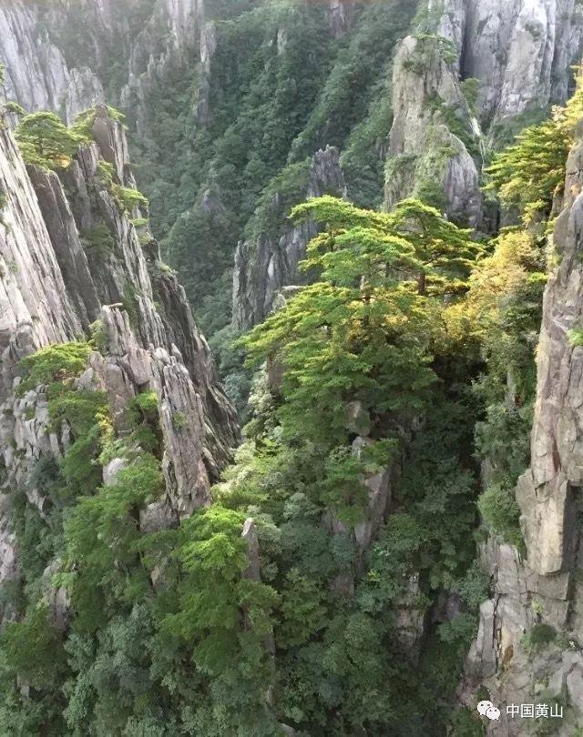 天国拯救